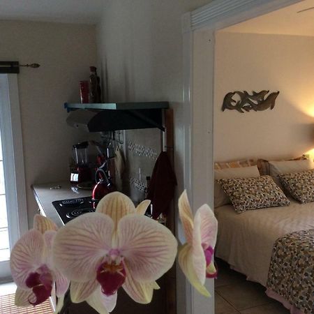 Mediteranean Style Ohana Rental / Garden Bungalow In Pahoa Honolulu Landing Экстерьер фото