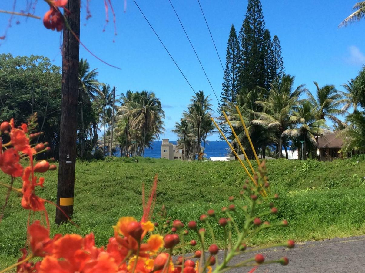 Mediteranean Style Ohana Rental / Garden Bungalow In Pahoa Honolulu Landing Экстерьер фото